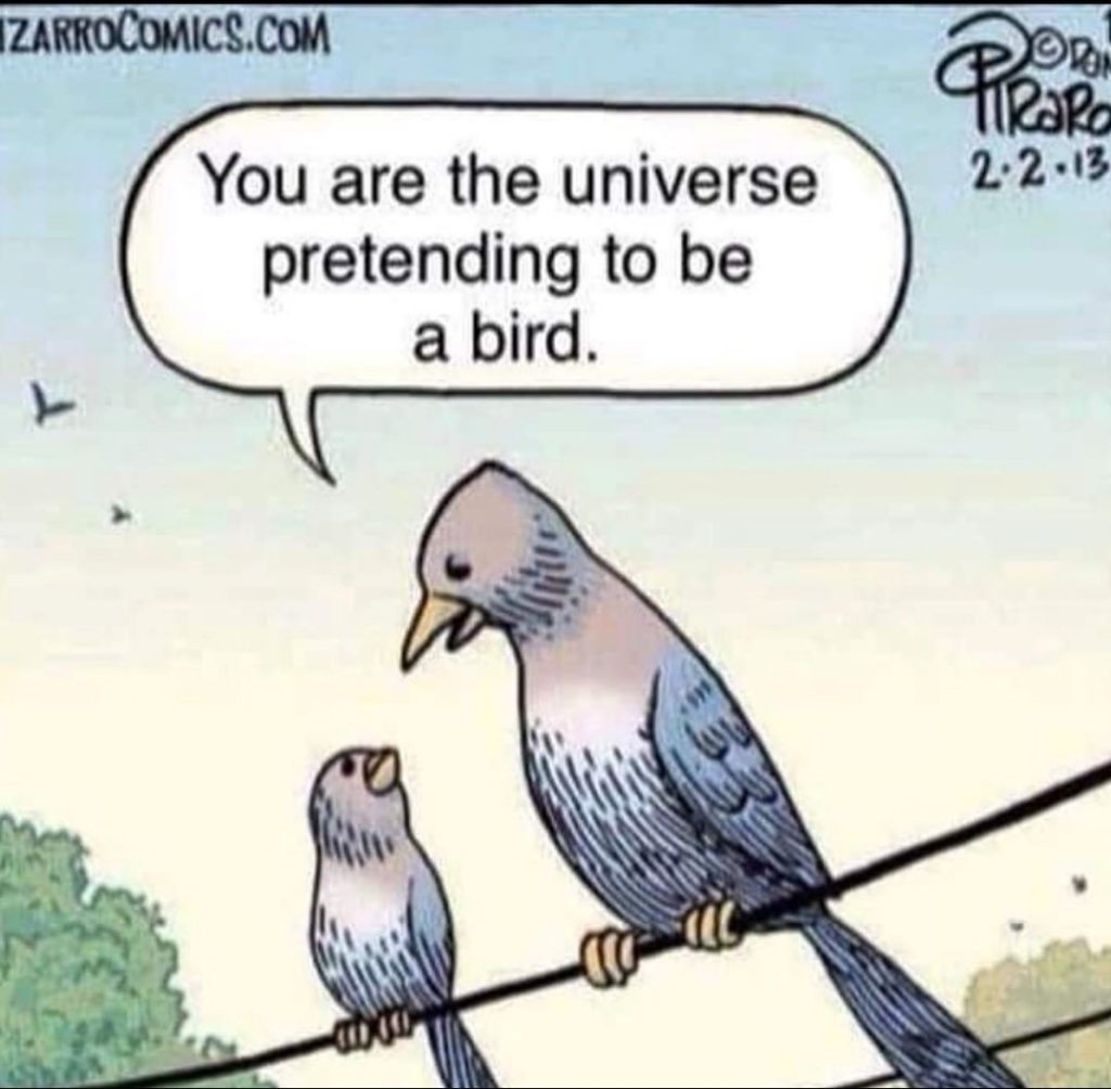 You are the universe pretending to be a bird